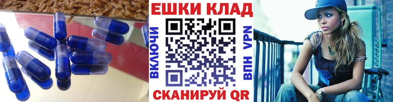 магазин  наркотиков  Александровск-Сахалинский  omg как зайти  Ecstasy 250 мг 