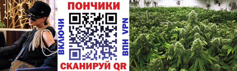 Бошки марихуана Ganja Александровск-Сахалинский